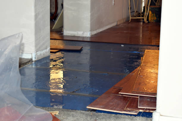 Professional Basement Flood Cleanup technician working in Caledonia, MS
